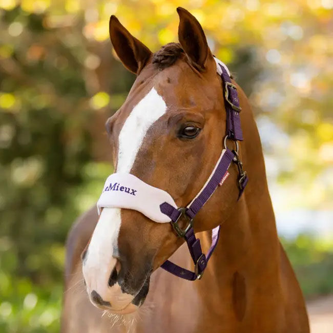 LeMieux Vogue Halter & Lead Rope - Juniper image number null