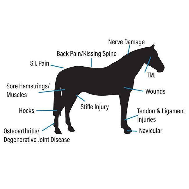 100X Equine EquiLaser with Goggles image number null