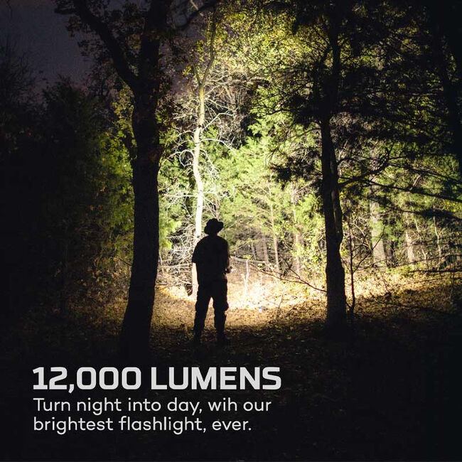 12,000 Lumens image number null