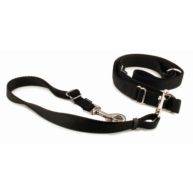 PetSafe Hands-Free Leash image number null