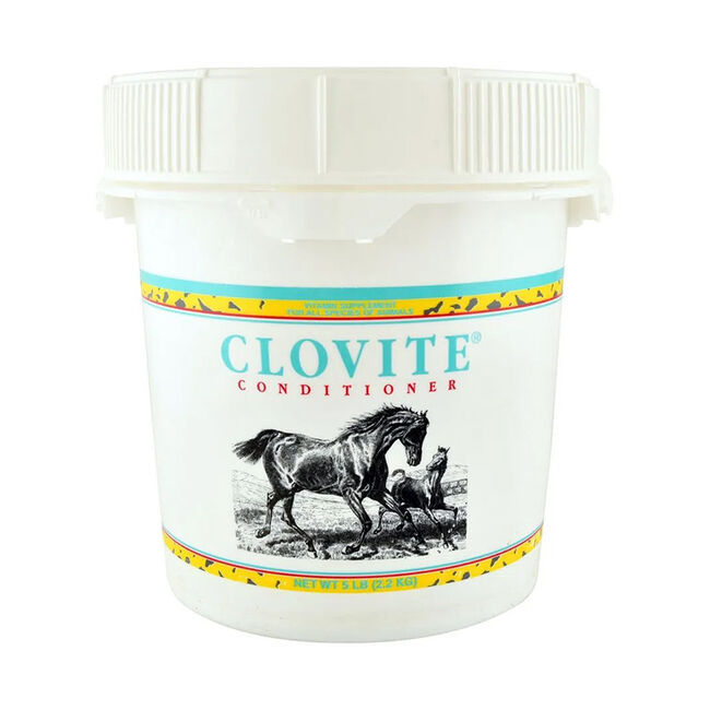 Clovite Conditioner Powder Supplement image number null