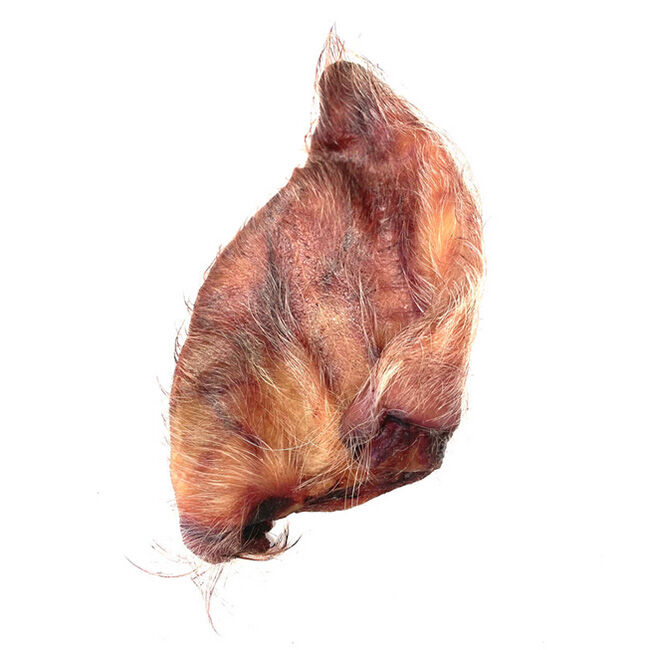 Momentum Carnivore Nutrition Dog Treats - Hair Pig Ear image number null