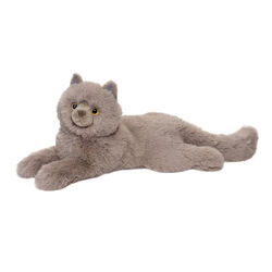 Douglas Juliette the Persian Cat