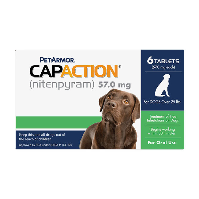 CapAction Oral Flea Treatment for Dogs and Cats - For Dogs 25lbs and Over image number null