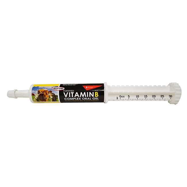Durvet Vitamin B Complex Oral Gel - 30 mL image number null