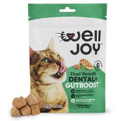 WellJoy Dual-Benefit Dental+ Gutboost Cat Treats - 3.2 oz