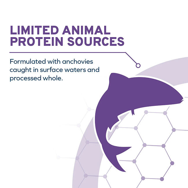 Forza10 DailyPro Sensitive Skin Support Food for Medium & Large Dogs - Wild-Caught Anchovy image number null