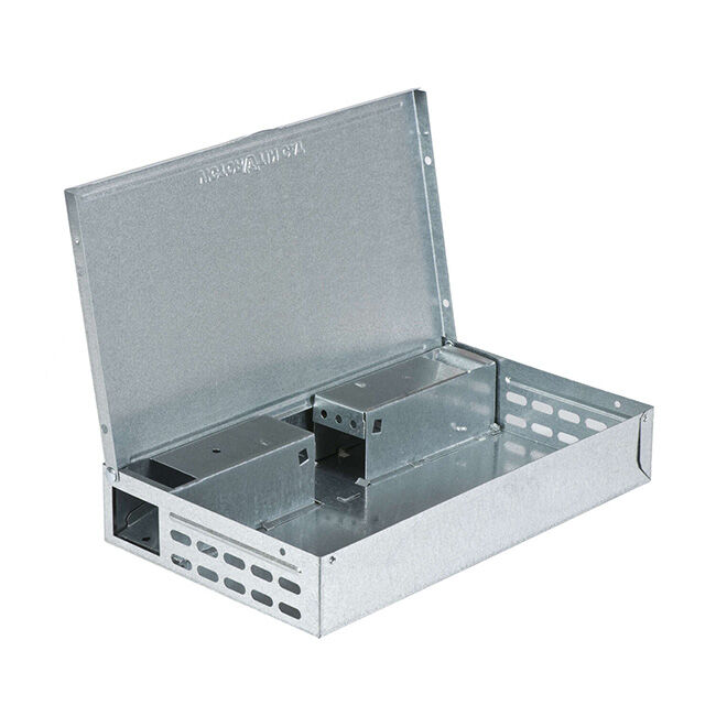 7006968-1.jpg image number null