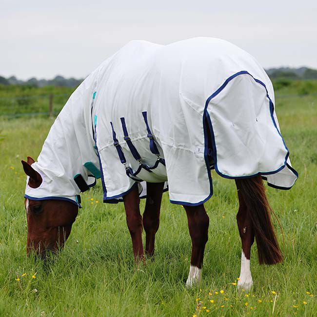 Shires Sweet-Itch Combo Fly Sheet - White image number null
