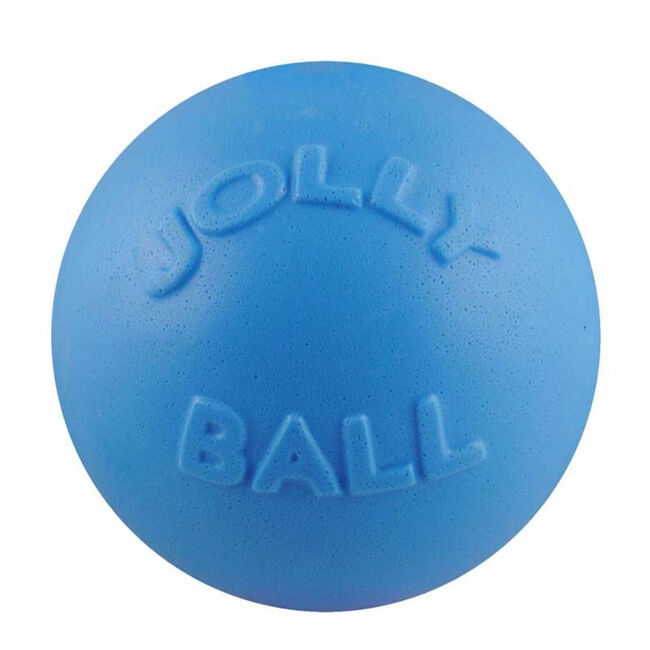Blueberry image number null