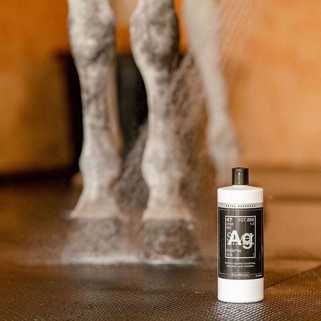 EquiFit AgSilver Daily Strength CleanWash image number null