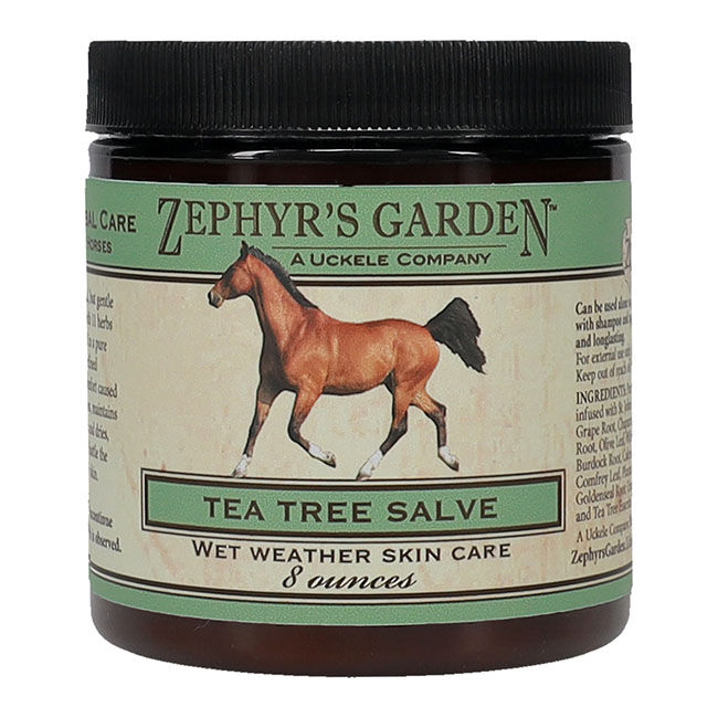 Zephyr's Garden Tea Tree Salve - 8 oz image number null