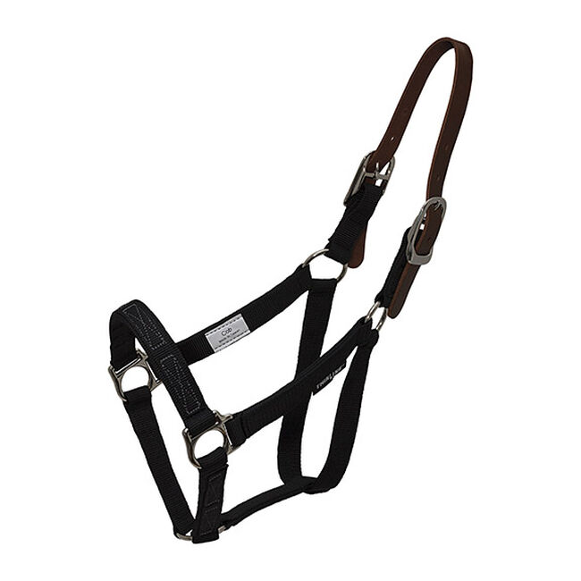 ThinLine Turnout Halter image number null