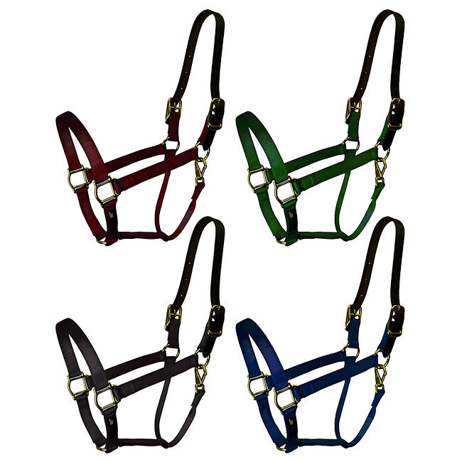 Walsh Breakaway 1" Halter with Straight Chin image number null