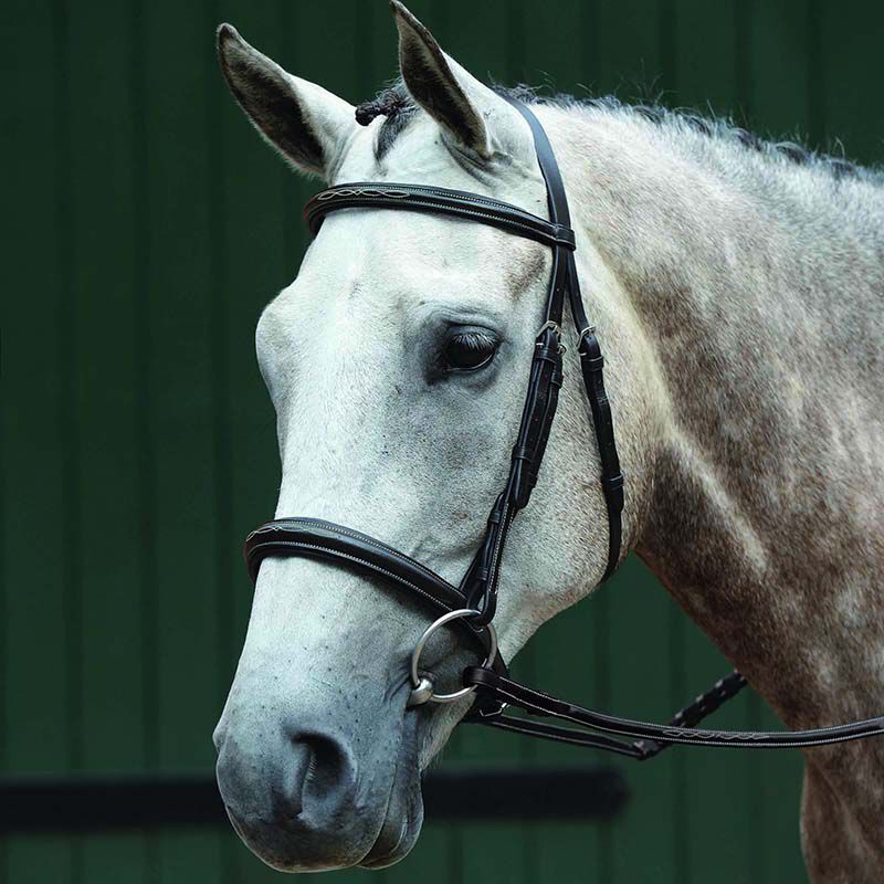 Cavesson bridle sales