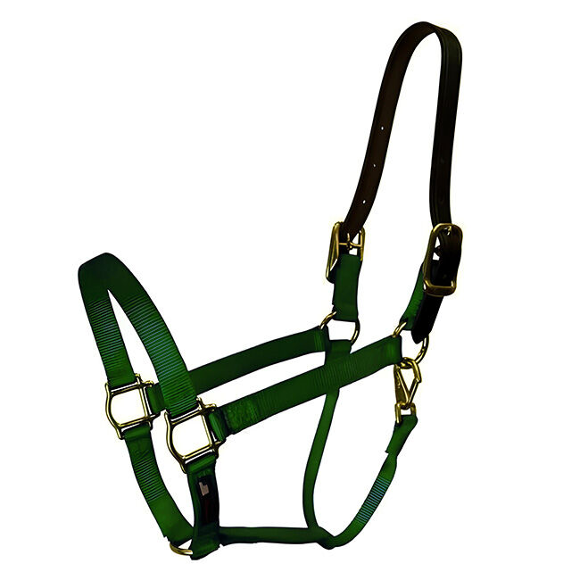 Walsh Breakaway 1" Halter with Straight Chin image number null