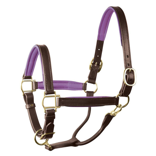 Perri's Leather Padded Leather Halter image number null