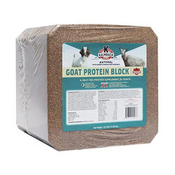 Kalmbach Feeds Goat Protein Block - 25 lb
