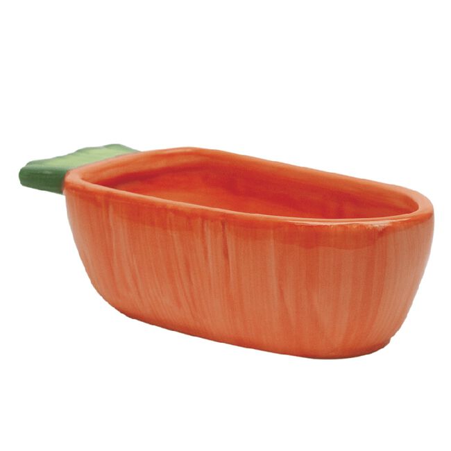 Kaytee Vege T Bowls for Small Animals Carrot  image number null