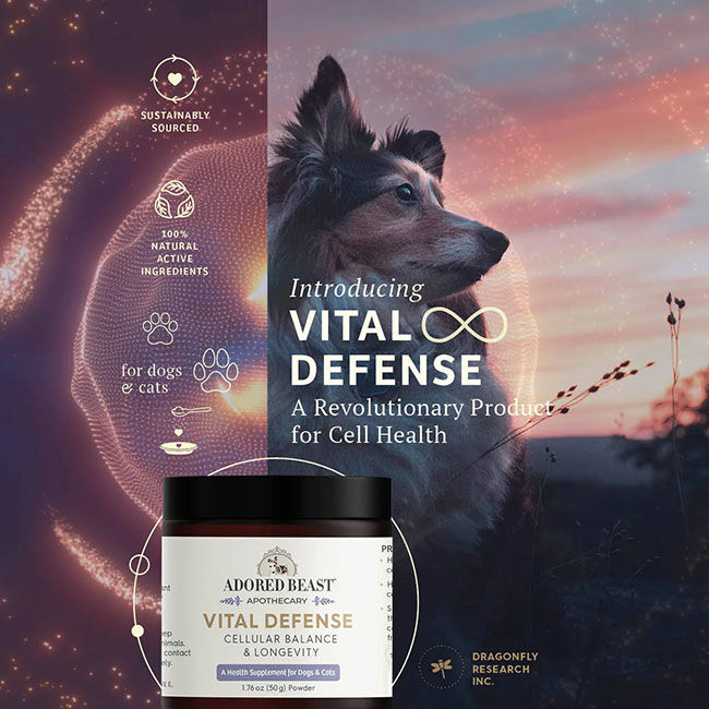 Adored Beast Apothecary Vital Defense - Cellular Support for Dogs & Cats - 50 g image number null