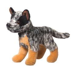 Douglas Co. Clanger the Australian Cattle Dog
