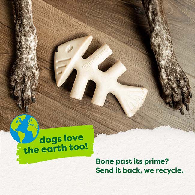 Benebone Green Plant-Based Chew Toy - Fishbone image number null