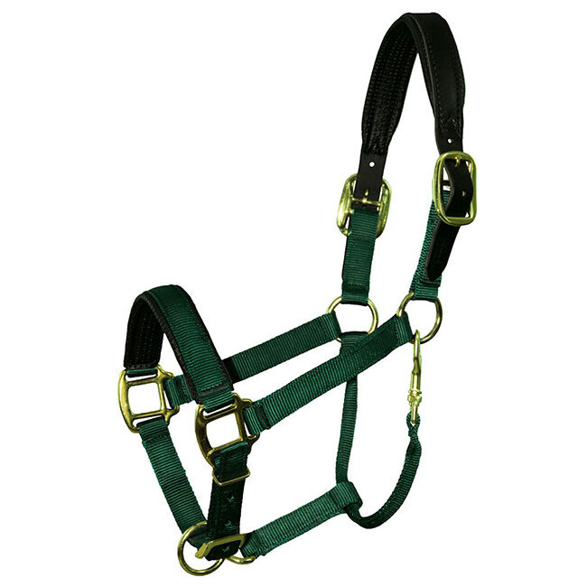 Intrepid International Premium Nylon Breakaway Halter with Padded Crown and Nose image number null