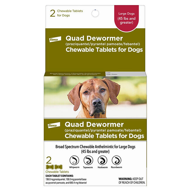 Elanco Quad Dewormer (praziquantel/pyranteI I pamoate/febantel) for Dogs image number null