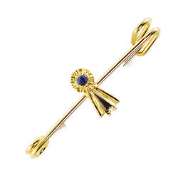 Finishing Touch of Kentucky Stock Pin - Blue Ribbon - 1" - Gold