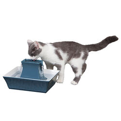 PetSafe Drinkwell Pagoda Pet Fountain - Himalayan Blue