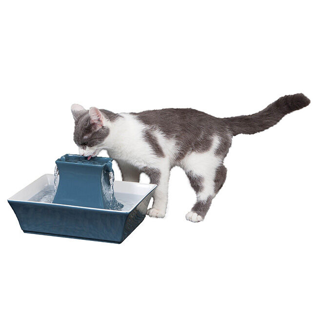 PetSafe Drinkwell Pagoda Pet Fountain - Himalayan Blue image number null