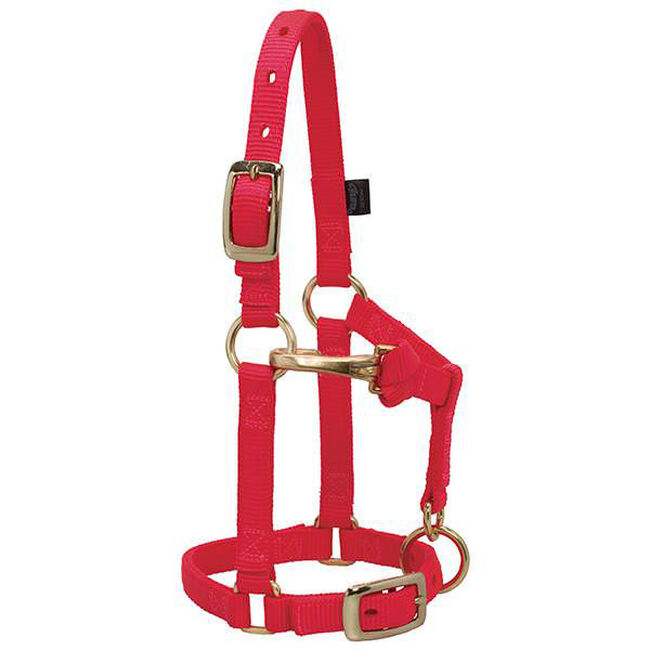 Weaver Mini Horse Adjustable Chin & Throat Snap Halter image number null