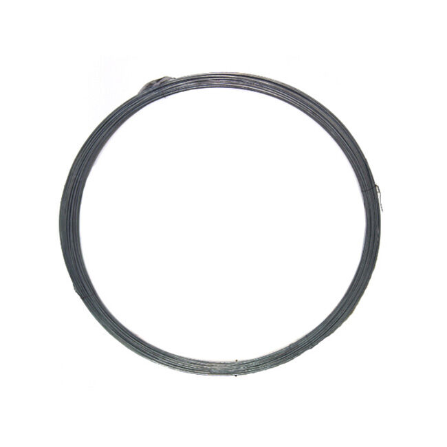 Alligator Brand Galvanized Smooth Wire Coil - 9-Gauge x 170.5' image number null