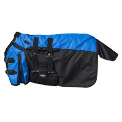 Tough1 1200D Mini Turnout Blanket with Belly Wrap & Snuggit - Royal Blue