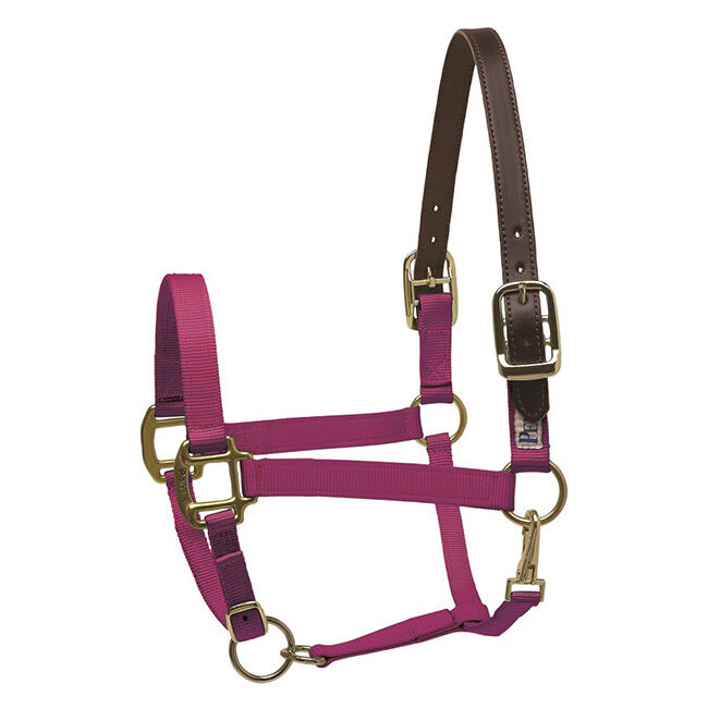 Perri's Leather Nylon Safety Halter image number null