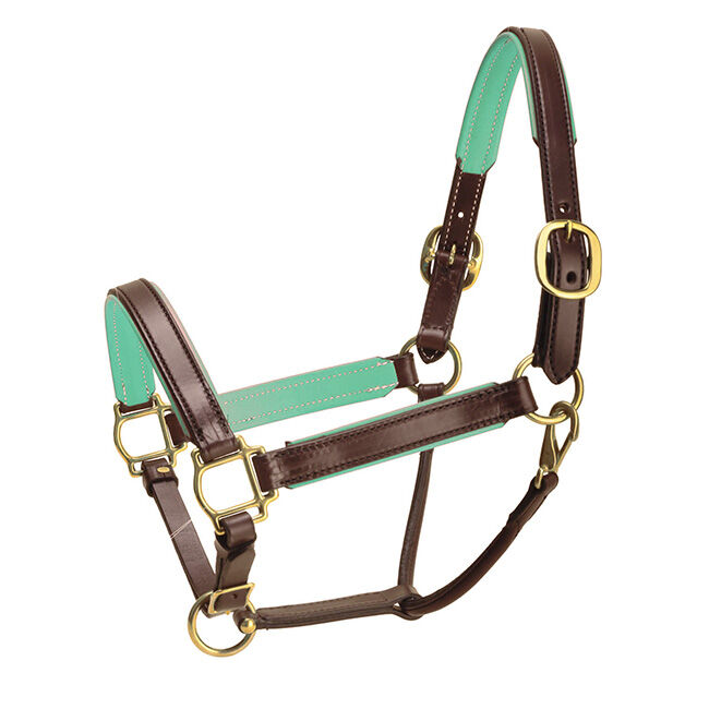 Tory Leather 1" Padded Halter - Havana/Mint image number null