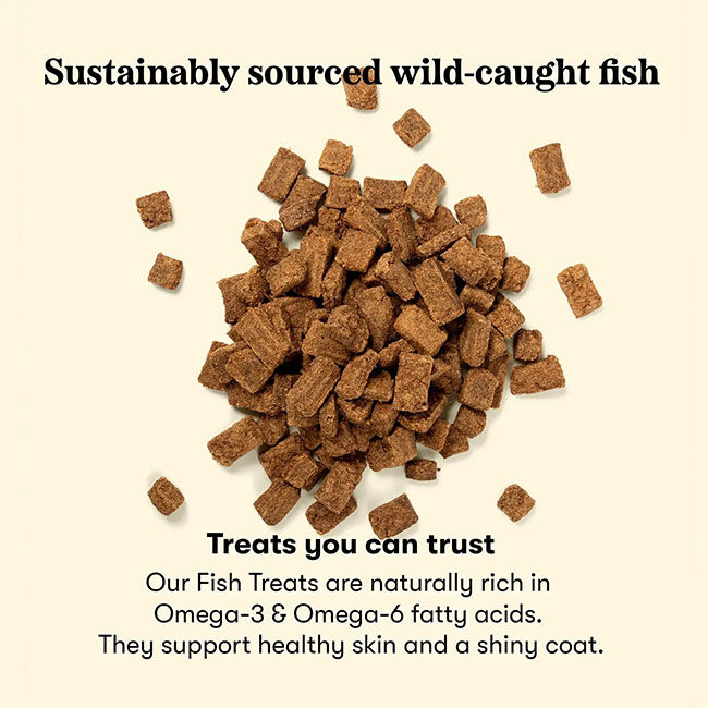 Plato Real Strips Dog Treats - Salmon Recipe - 18 oz image number null