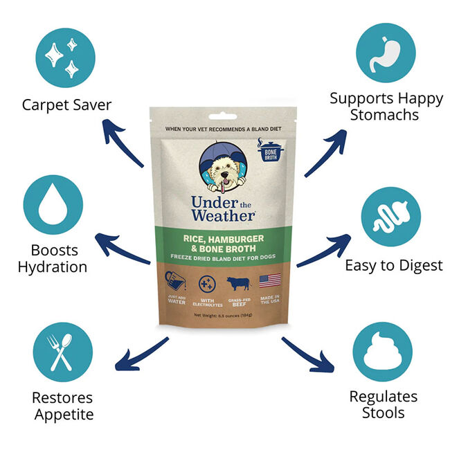 Under the Weather Bland Diet for Dogs - Hamburger, Rice & Bone Broth Recipe image number null