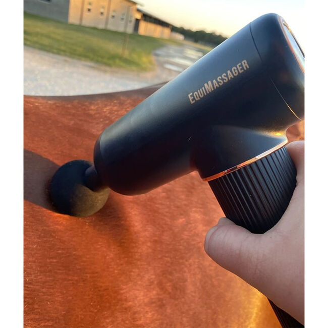 100X Equine EquiMassager image number null