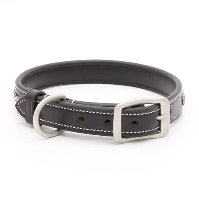 KL Select Crystal Dog Collar - Blackberry image number null
