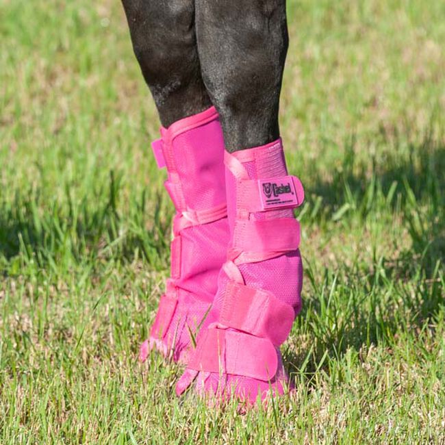 Cashel Crusader Leg Guards - Pink image number null