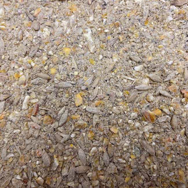 Green Mountain Feeds Organic 16% Coarse Layer Mash - 50 lb image number null