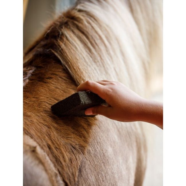 Farnam Slick 'N Easy Horse Grooming Block image number null