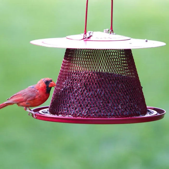 Perky-Pet Mesh Cardinal Wild Bird Feeder image number null