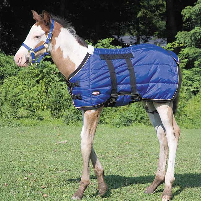 Weaver Equine Foal Blanket image number null