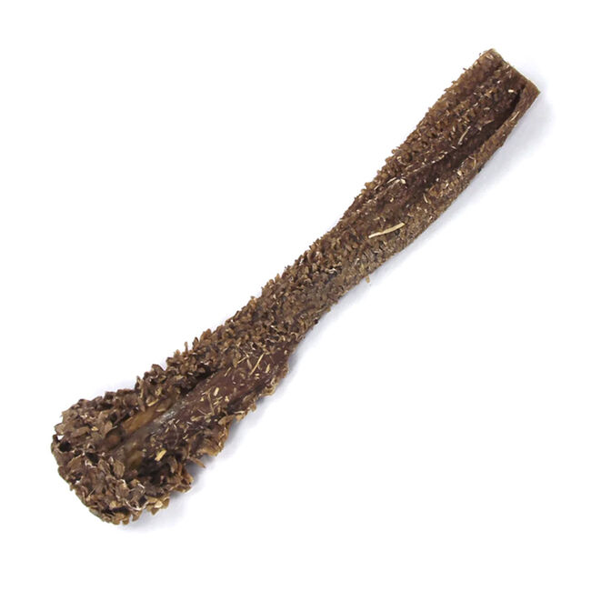 Tuesday's Natural Dog Company Lamb Tripe Stick image number null
