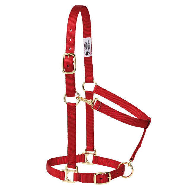 Weaver Equine Poly Adjustable Halter image number null