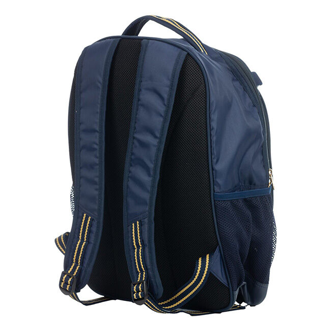 Equinavia Darby Backpack - Navy/Gold image number null