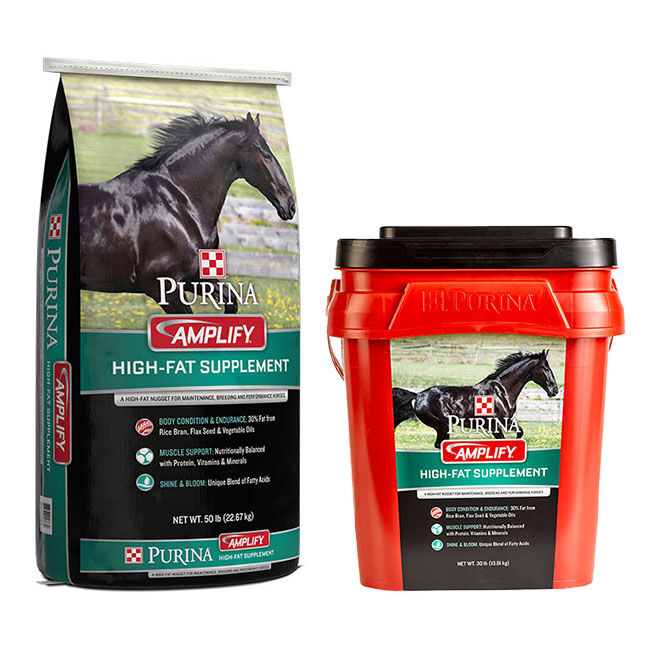 Purina Amplify HighFat Supplement Nugget The Cheshire Horse