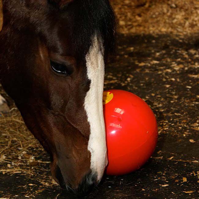 Likit Snak-a-Ball image number null